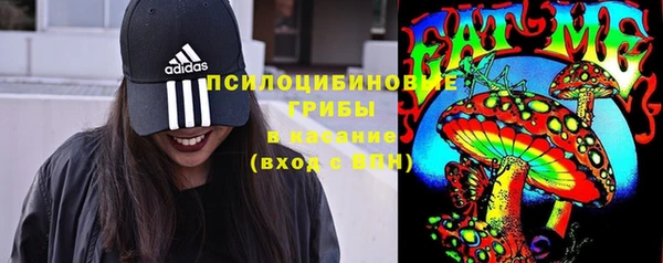 прущие крисы Горнозаводск